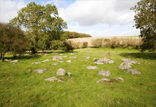 Piggle Dene is a National Trust area of chalk dry valley with sarsen stones, Lockeridge, Wiltshire,