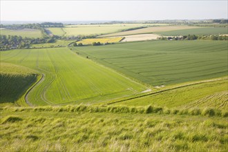 Summer view of arable fields and chalk landscape from Cherhill Down escarpment, Wiltshire, England,