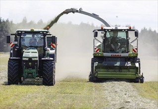 Forage harvesting on an organic farm A forage harvester transports the chopped forage grass into a