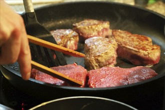 Fry the fillet of beef in a pan