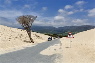 Moving dune with traffic sign, caution narrowed lane, narrowing of lane, dune, coastline near