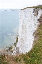 Steep, almost vertical cliff, chalk cliffs above the sea, an example of erosion in a coastal