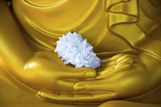 Detail of Buddha statue with offering in palm of hands, Gangaramaya Temple, Colombo, Sri Lanka,