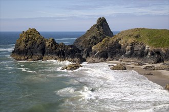 Coastal scenery near Kynance Cove, Lizard Peninsula, Cornwall, England, UK