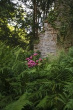 Hochberg Castle, formerly Hochberg Castle, Hohenberg Castle, former seat of the Hochberg lordship,