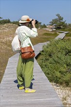 Woman photographed, wooden footbridge, trees, pine trees, circular hiking trail, nature reserve,