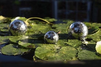 Three silver balls lying on water lily pads, Germany, Europe