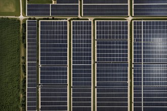 Top down aerial view of a photovoltaic plant arranged in symmetric rows, AI generated