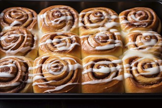 Freshly baked cinnamon rolls in baking tray. KI generiert, generiert AI generated