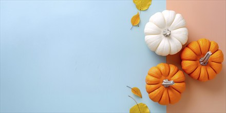 Banner with orange and white pumpkins on pastel blue background with copy space. Generative Ai, AI