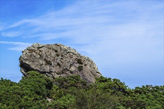 Agglestone Rock, Devil's Anvil, Studland, Dorset, England, United Kingdom, Europe