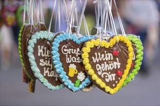 Gingerbread hearts with colourful icing, displayed at a festival with the inscription 'Mein gehört