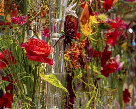 Artistic flower arrangements and decorations, German Floristry Championships, Berlin, Germany,