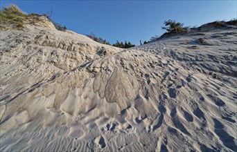 Sandy beach beach and dunes in the Slowinski National Park, Slowinski Park Narodowy, on the Baltic