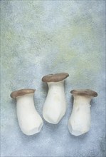 Fresh eringi mushrooms, raw, royal oyster mushrooms, three pieces, Asian cuisine, no people