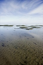 Cloud reflection in the mudflats, Wyk, Föhr, North Frisia, Schleswig-Holstein, Germany, Europe