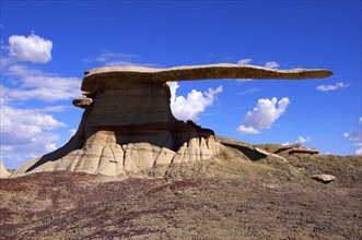 The Valley of Dreams, New Mexico, USA, Valley of Dreams, New Mexico, USA, North America