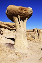 The Valley of Dreams, New Mexico, USA, Valley of Dreams, New Mexico, USA, North America