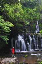 Purakaunui Falls, Catlins Forest Park, Otago, South Island New Zealand, Parakaunui Falls, Otago,