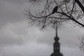 Rainy weather in Dresden's old town. Due to the heavy rainfall, the river levels in Saxony are