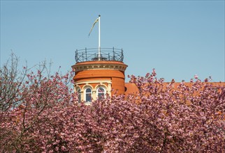 Tower on house surrounded by cherry trees and against blue sky in Ystad, Scania, Sweden,