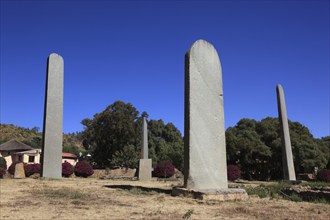 Tigray region, in the stele park of Axum, Aksum, Ethiopia, Africa