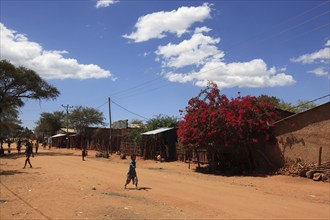 Southern Ethiopia, in Dimeka, the district capital of the Hammer tribe, Ethiopia, Africa