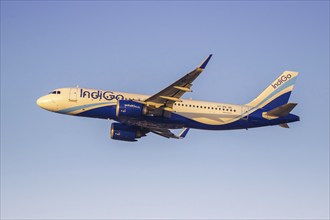 An IndiGo Airbus A320neo aircraft with the registration VT-IPK at the airport in Dubai, United Arab