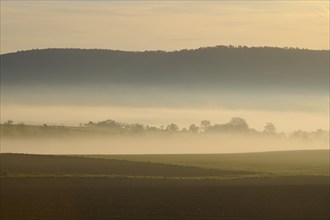 Fog over fields in the morning light with hills and trees in the background, peaceful rural scene,