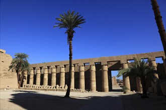 Luxor, Karnak Temple, part of the Amun Re Temple in Karnak, Africa, Upper Egypt, UNESCO World