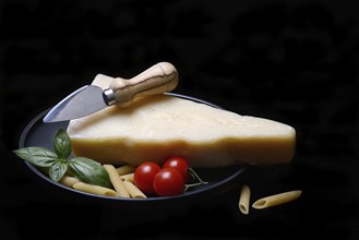 A piece of Parmesan cheese with cheese knife, pasta and tomatoes, Italy, Europe