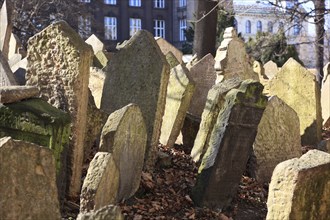 The Old Jewish Cemetery in the Josefov district is one of the most historically significant Jewish