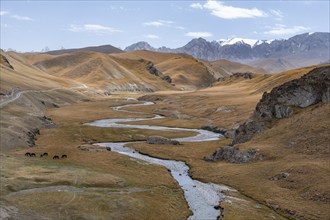 River Kol Suu winds through a mountain valley with hills of yellow grass, Naryn Province,