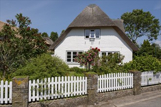 Frisian house, thatched house, Nieblum, Föhr, North Sea island, North Frisia, Schleswig-Holstein,