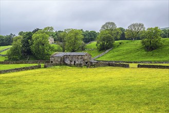 Farms in Yorkshire Dales National Park, North Yorkshire, England, United Kingdom, Europe