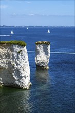 White Cliffs of Old Harry Rocks Jurassic Coast, Dorset Coast, Poole, England, United Kingdom,