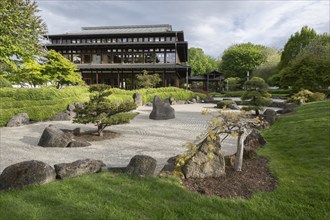 Japanese Garden, Bad Langensalza, Thuringia, Germany, Europe