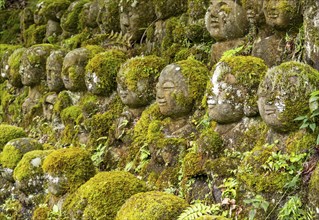 Moss-covered stone statues of rakans, the disciples of Buddha, Otagi Nenbutsu-ji temple, Kyoto,