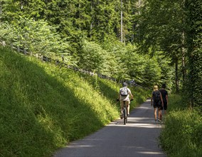 Cyclists and hikers on a circular route on Lake Tegernsee, Bavaria, Germany, Europe