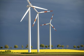 Wind turbines on a rape field, dark rain clouds, in the Rhenish lignite mining area, near