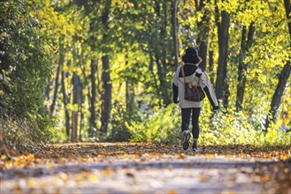 A walk through a colourful autumn forest. A young woman on a circular path on the banks of the