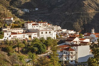 Tejeda, Gran Canaria, Canary Islands, Spain, Tejeda, Gran Canaria, Canary Islands, Spain, Europe