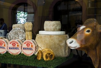 Cheese shop, Cheese shop, Old town, Colmar, Alsace, Bas-Rhin, France, Europe