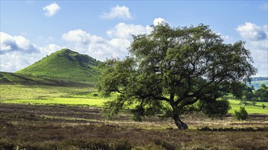 Farms and Moors in North York Moors National Park, Yorkshire, England, United Kingdom, Europe