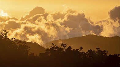 Evening mood, clouds over cloud forest, mountain rainforest, Parque Nacional Los Quetzales, Costa