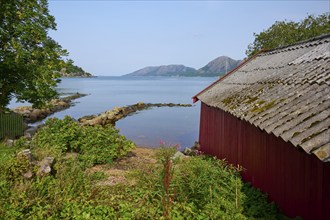 A quiet fjord with mountains in the background, a red hut on the shore and trees, Sandnes, Fylke