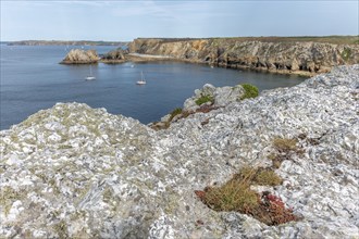 Landscape on the coast of the Iroise Sea. Camaret, Crozon, Finistere, Brittany, France, Europe