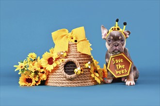 Tan French Bulldog dog puppy with bee antlers and 'Save the bees' sign next to beehive and flowers