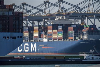 The seaport of Rotterdam, Netherlands, deep sea harbour Maasvlakte 2, on a man-made land area off