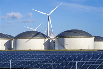 Vopak Solarpark Eemshaven, 19 hectares of solar modules with a capacity of 25 megawatts, around the